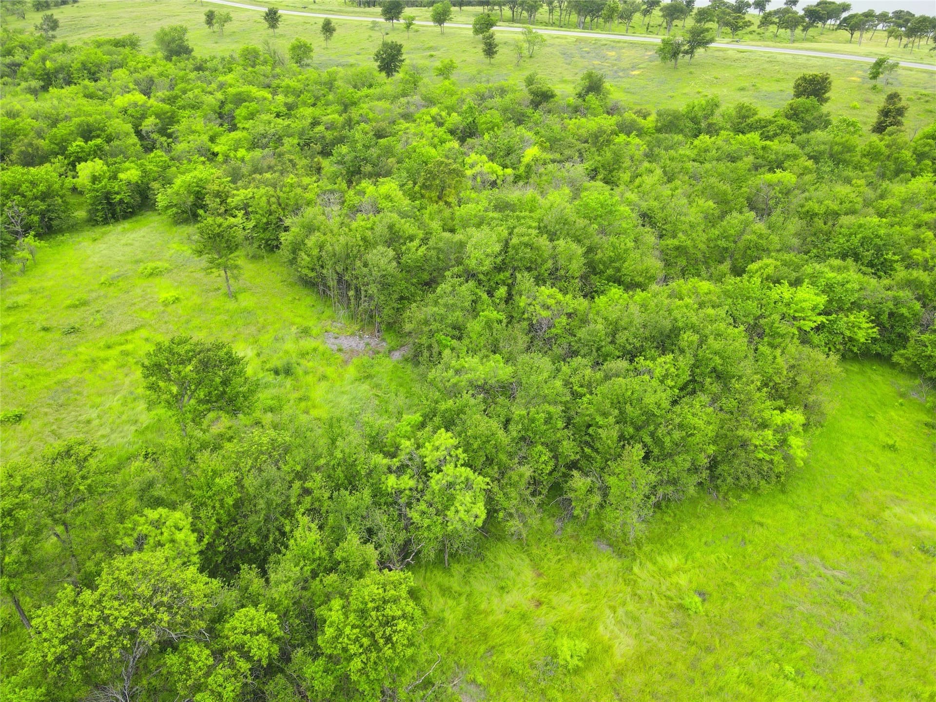 3.19 acres in Navarro County - photo 8