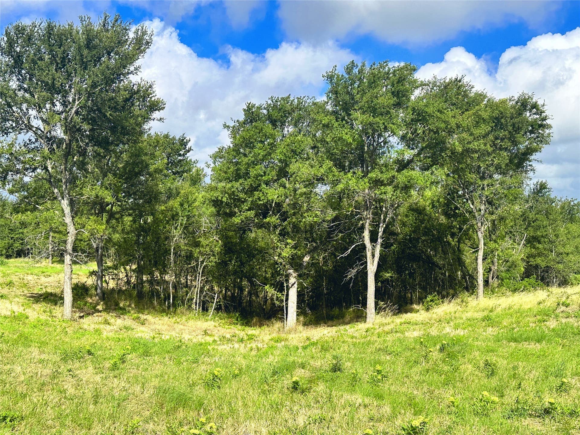 3.19 acres in Navarro County - photo 3