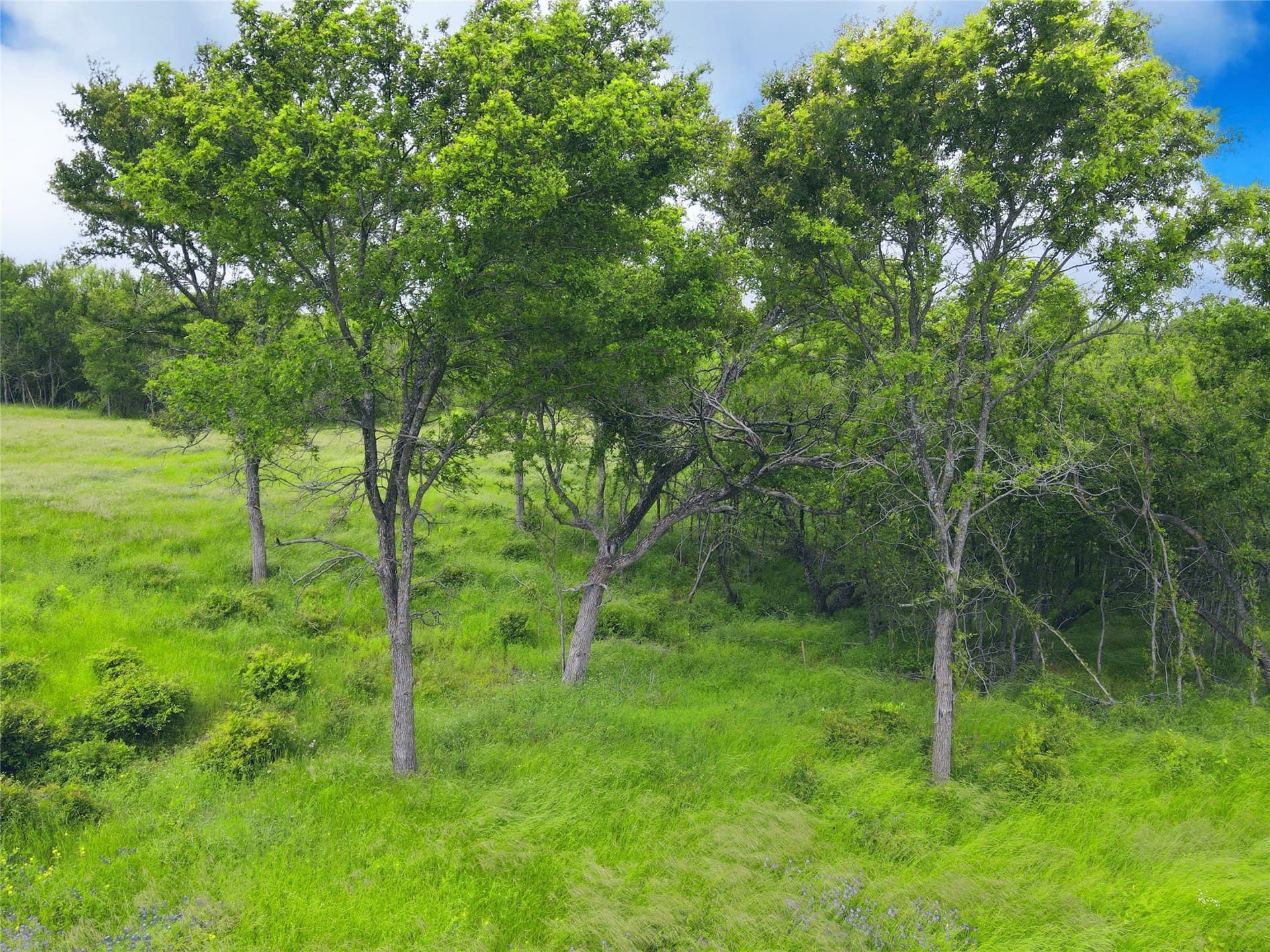 3.19 acres in Navarro County - photo 10