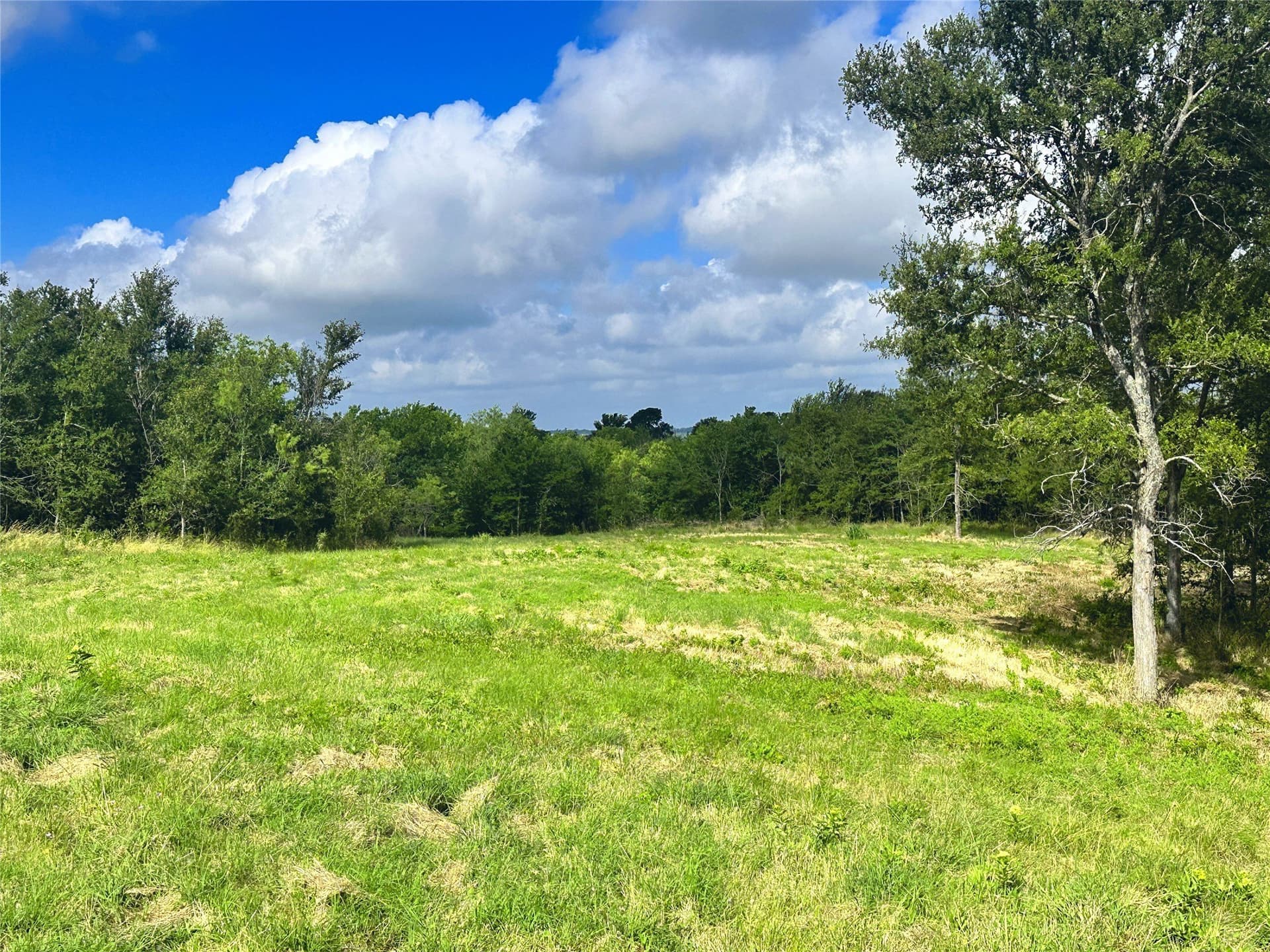 3.19 acres in Navarro County - photo 17