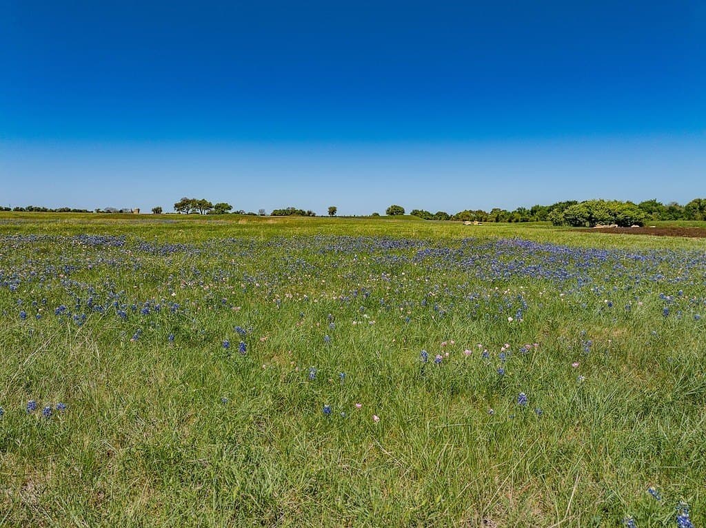 6.69 acres in Fayette County - photo 9