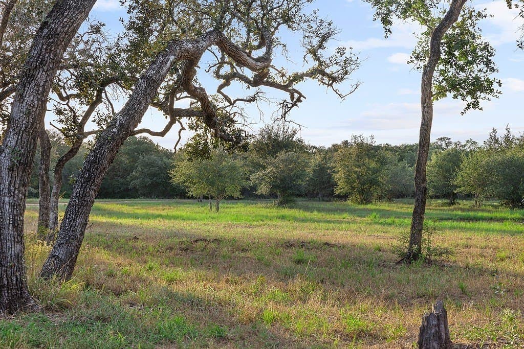 9.42 acres in Colorado County - photo 11