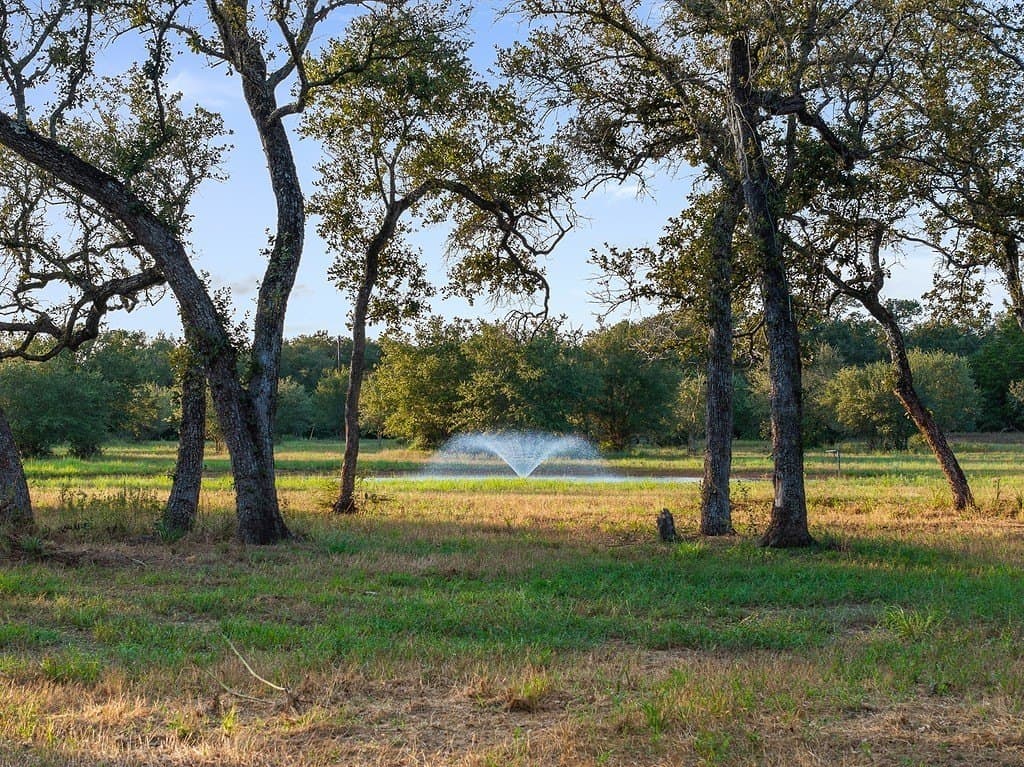 9.42 acres in Colorado County - photo 9