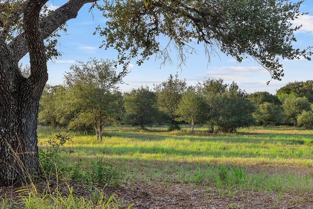 9.42 acres in Colorado County - photo 10