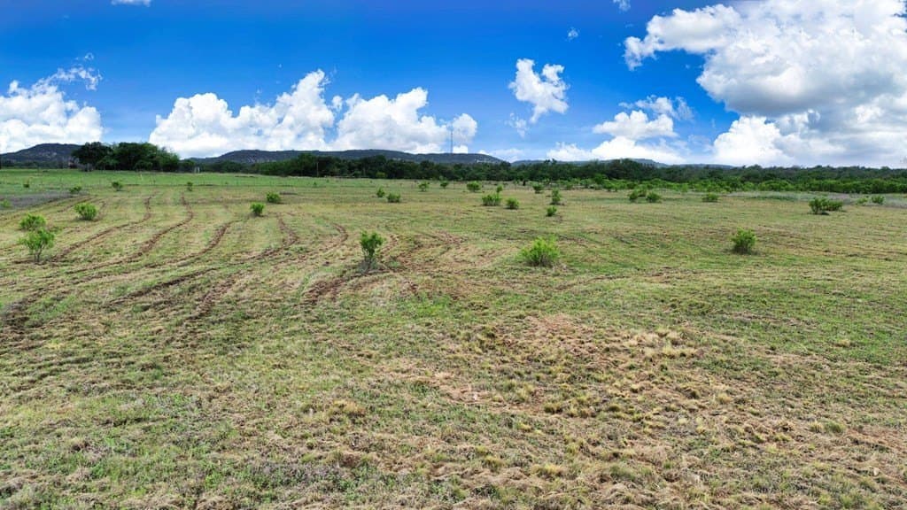 3.26 acres in Gillespie County - photo 8