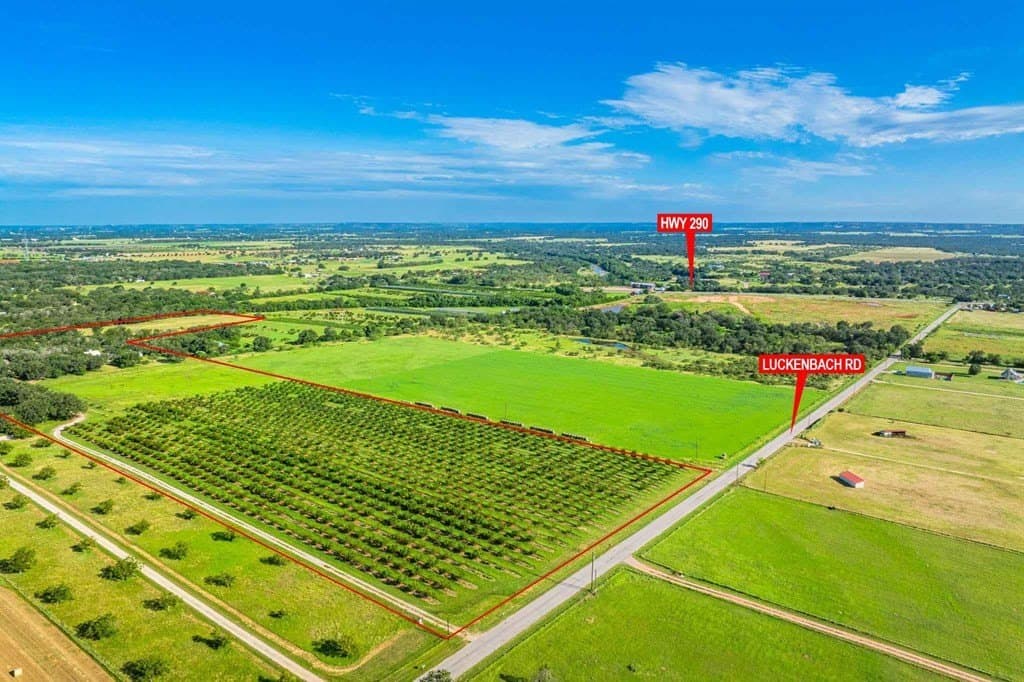 46.35 acres in Gillespie County gallery image 3