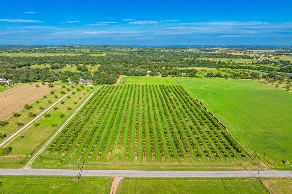 46.35 acres in Gillespie County gallery image 2