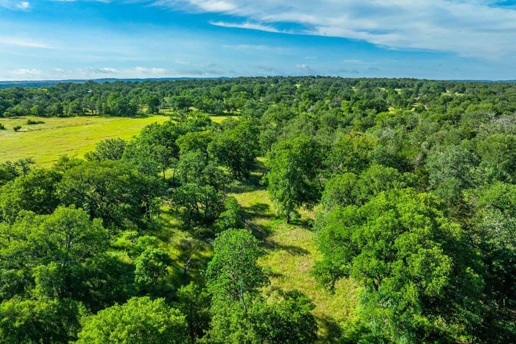 46.35 acres in Gillespie County featured view