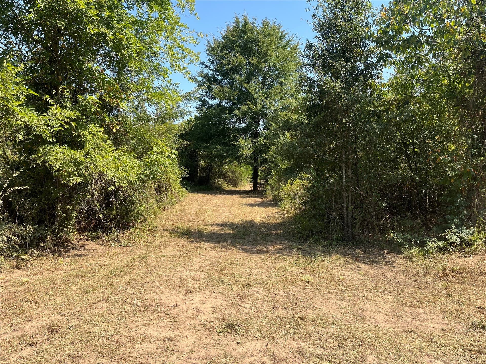 43.65 acres in Red River (TX) County - photo 11