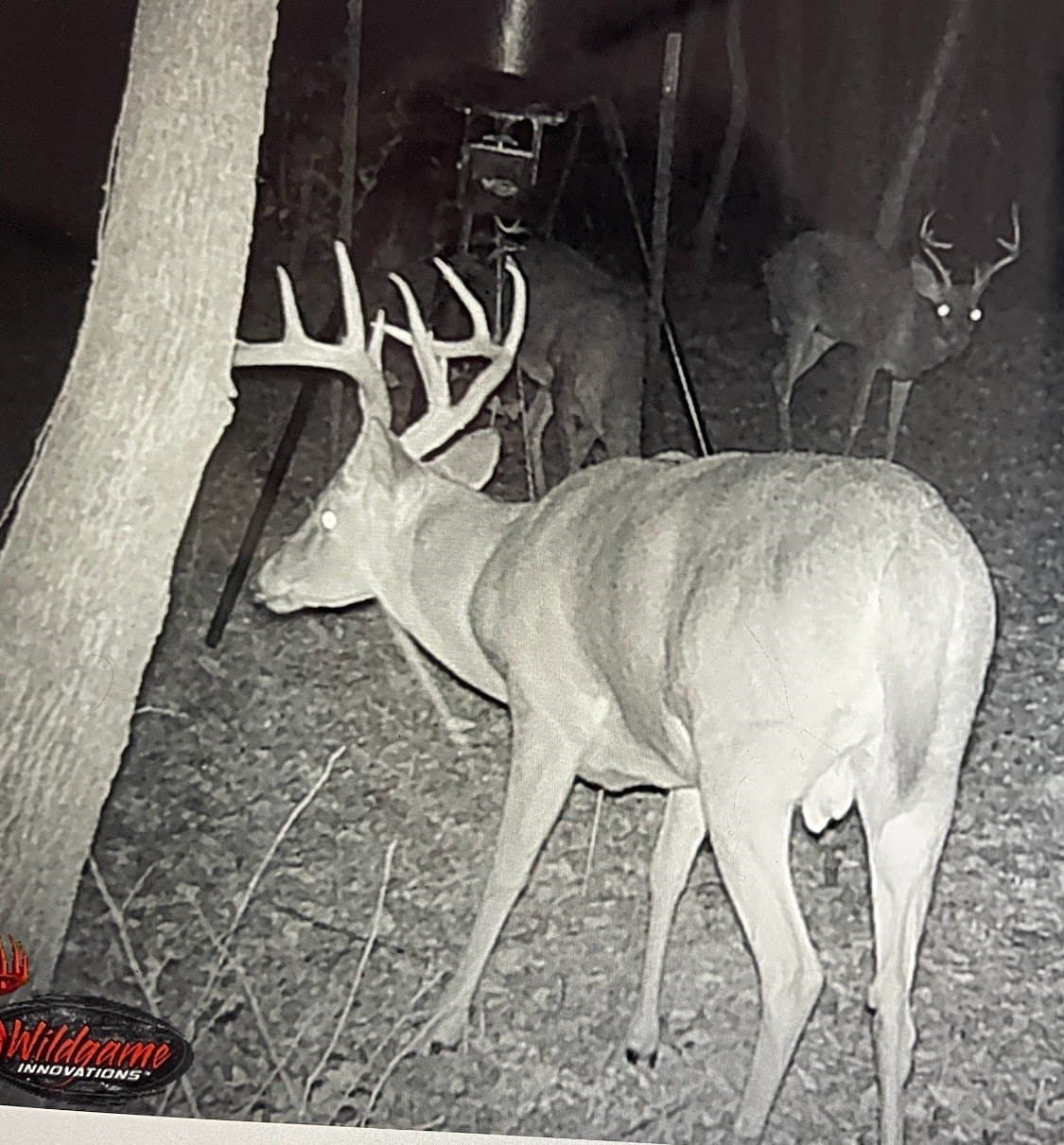 43.65 acres in Red River (TX) County - photo 20