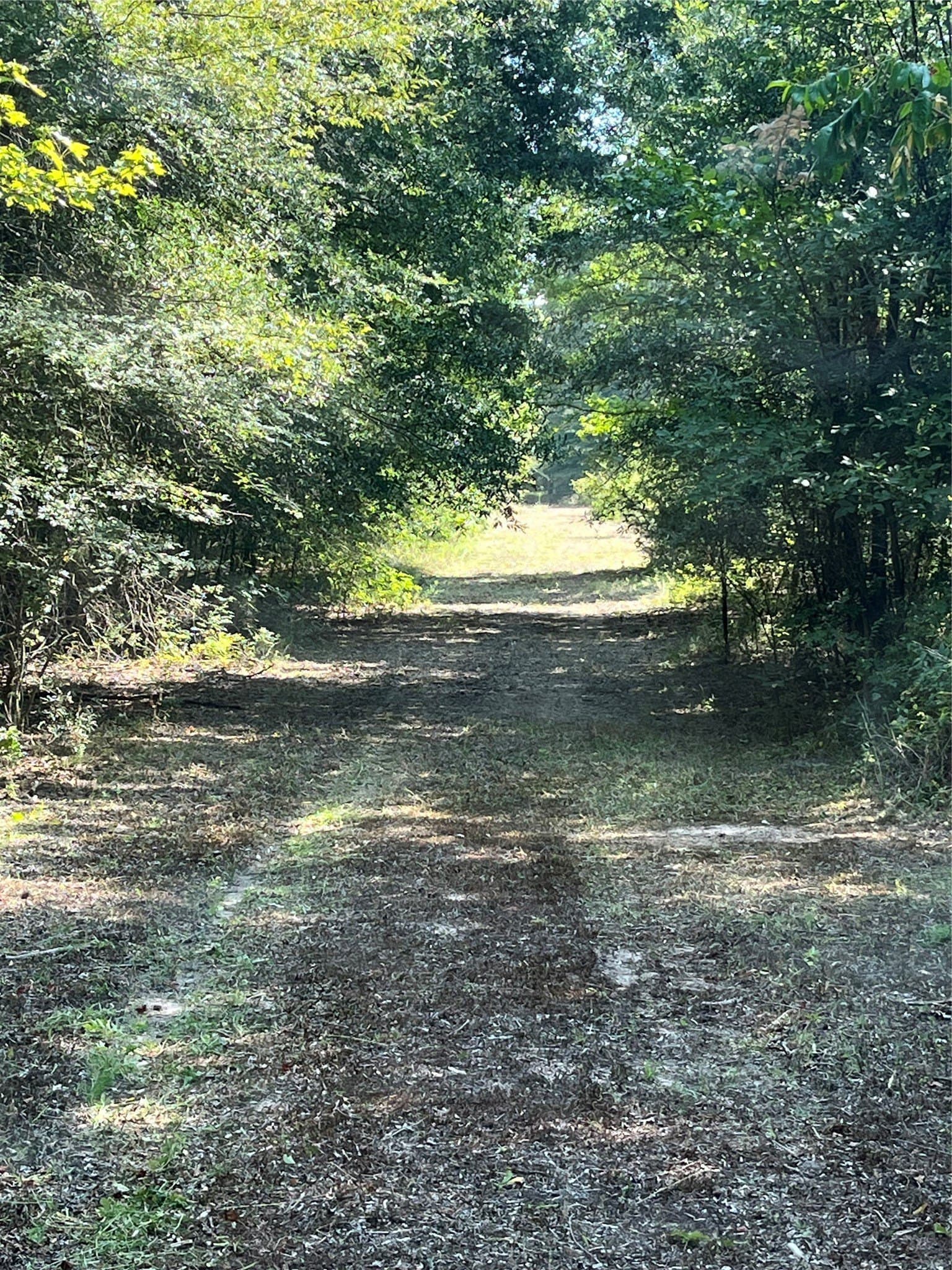 43.65 acres in Red River (TX) County - photo 6