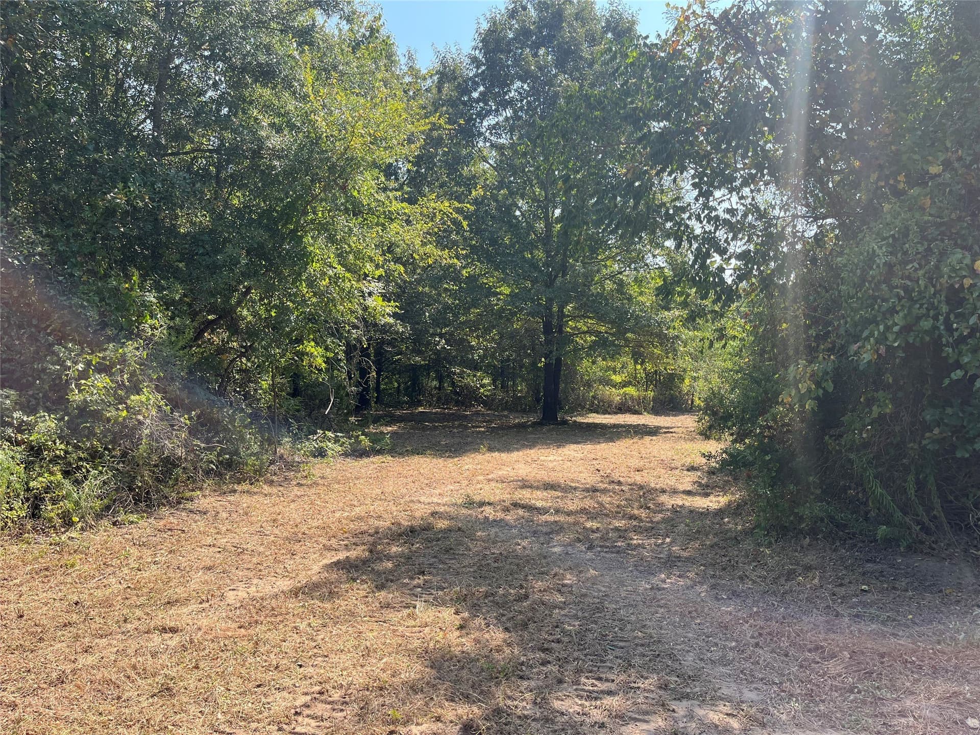 43.65 acres in Red River (TX) County - photo 8
