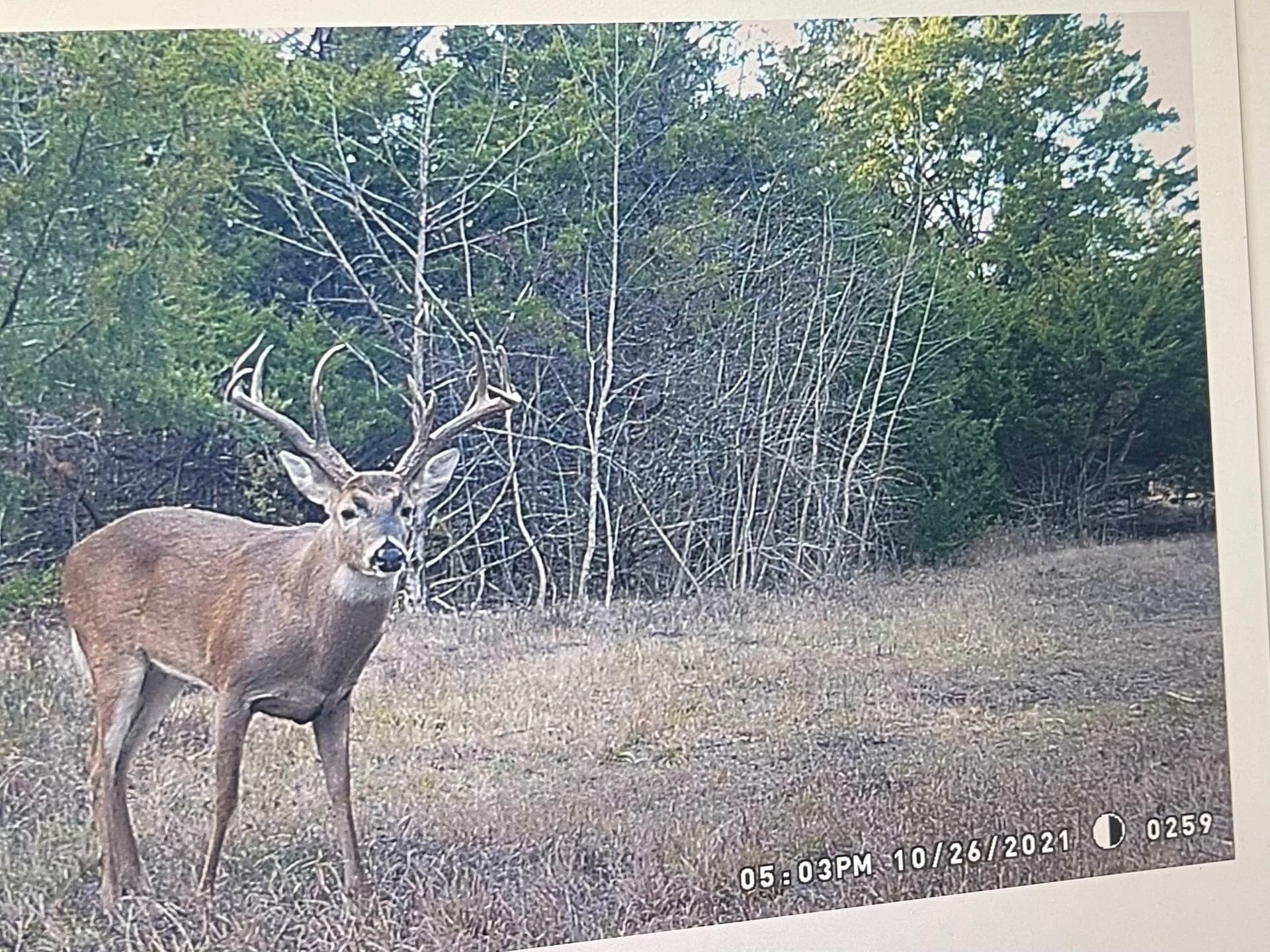 43.65 acres in Red River (TX) County