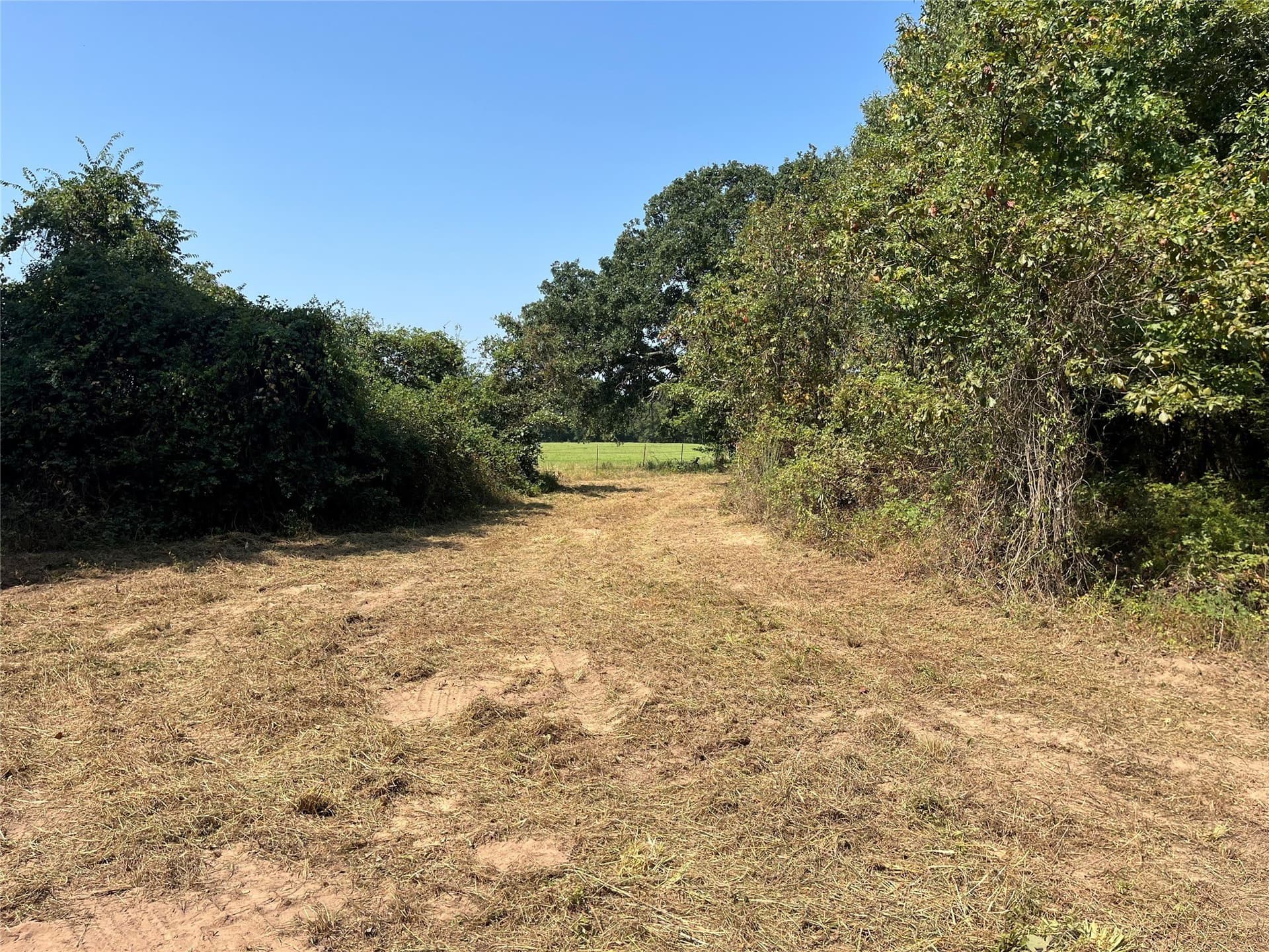 43.65 acres in Red River (TX) County - photo 3