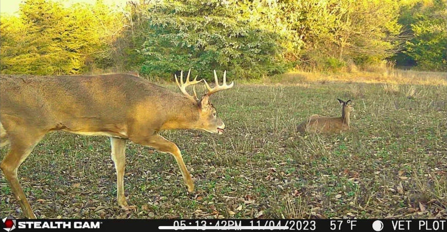 43.65 acres in Red River (TX) County - photo 16