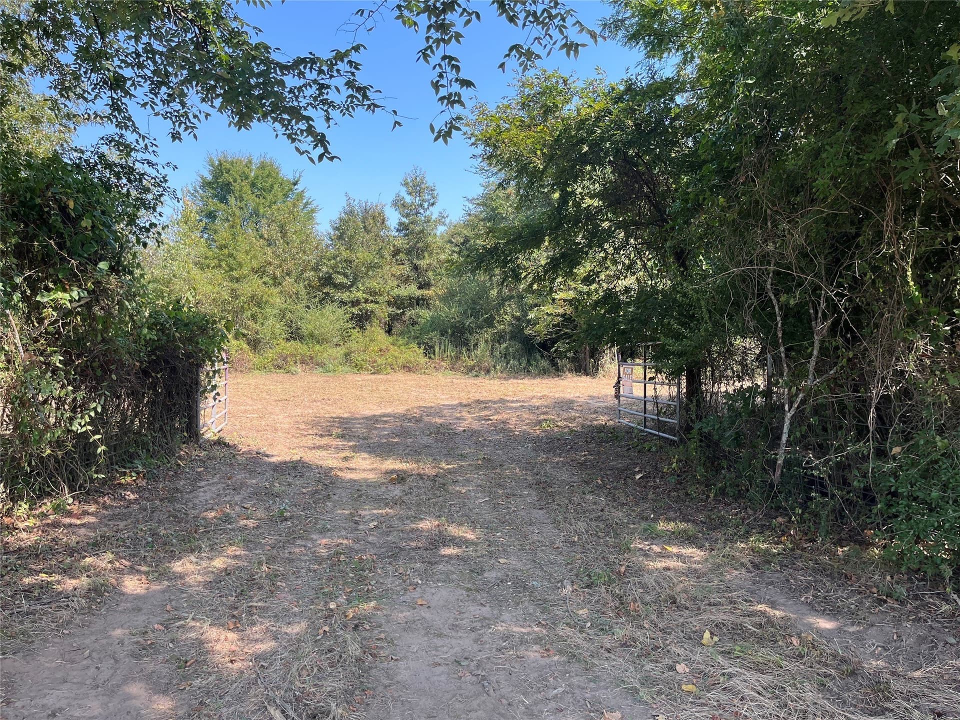 43.65 acres in Red River (TX) County - photo 5