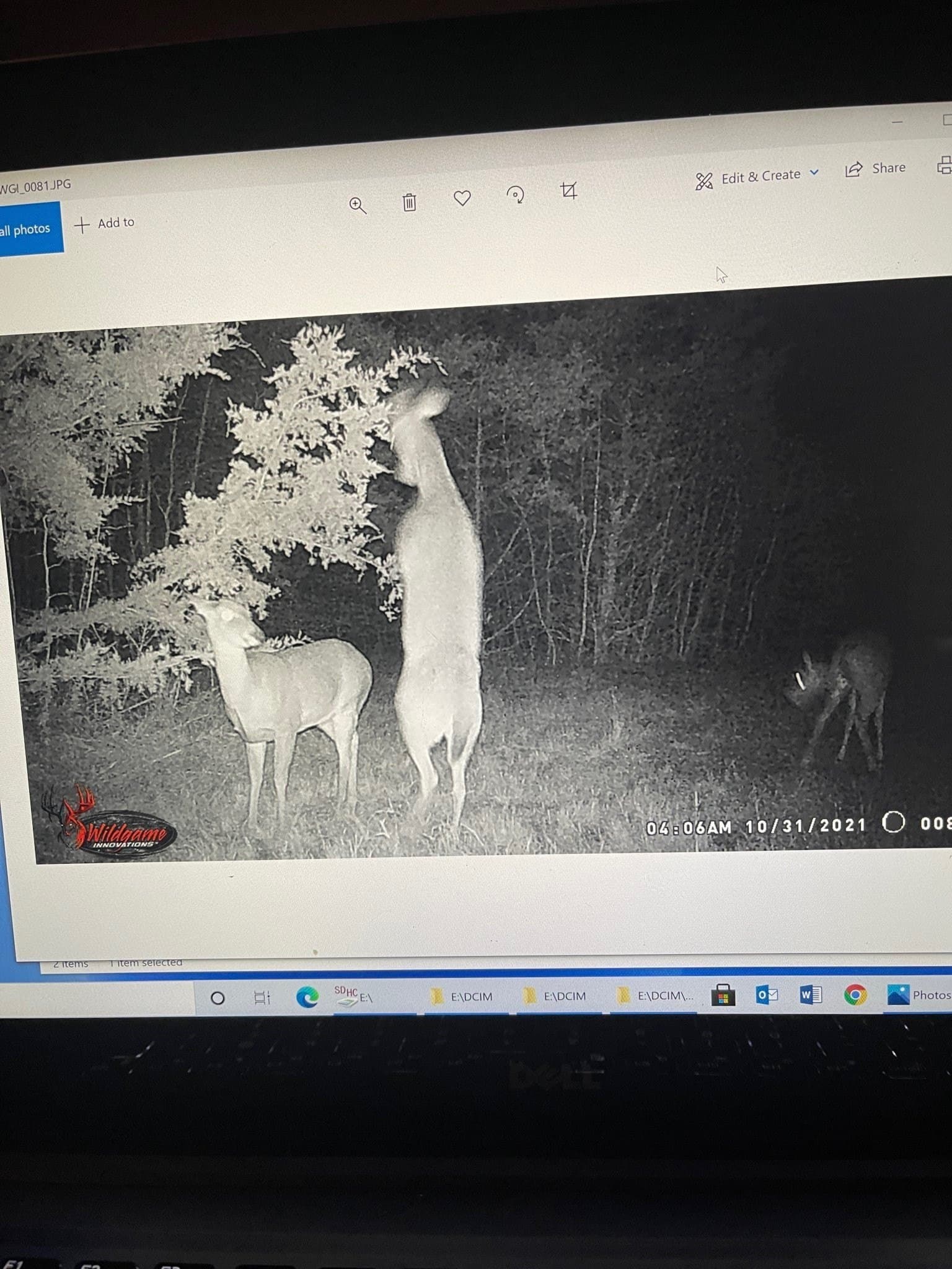 43.65 acres in Red River (TX) County - photo 14