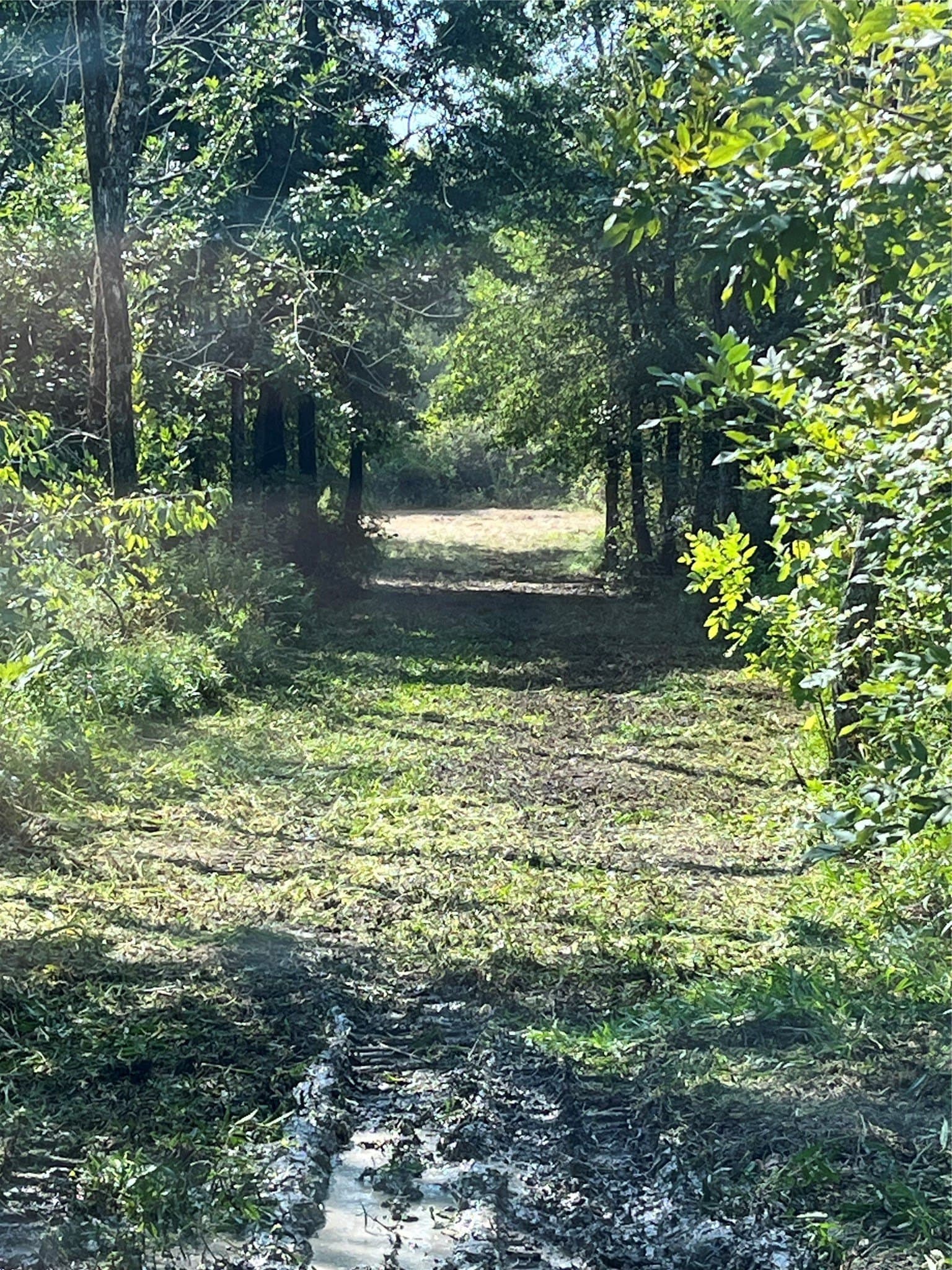 43.65 acres in Red River (TX) County - photo 2