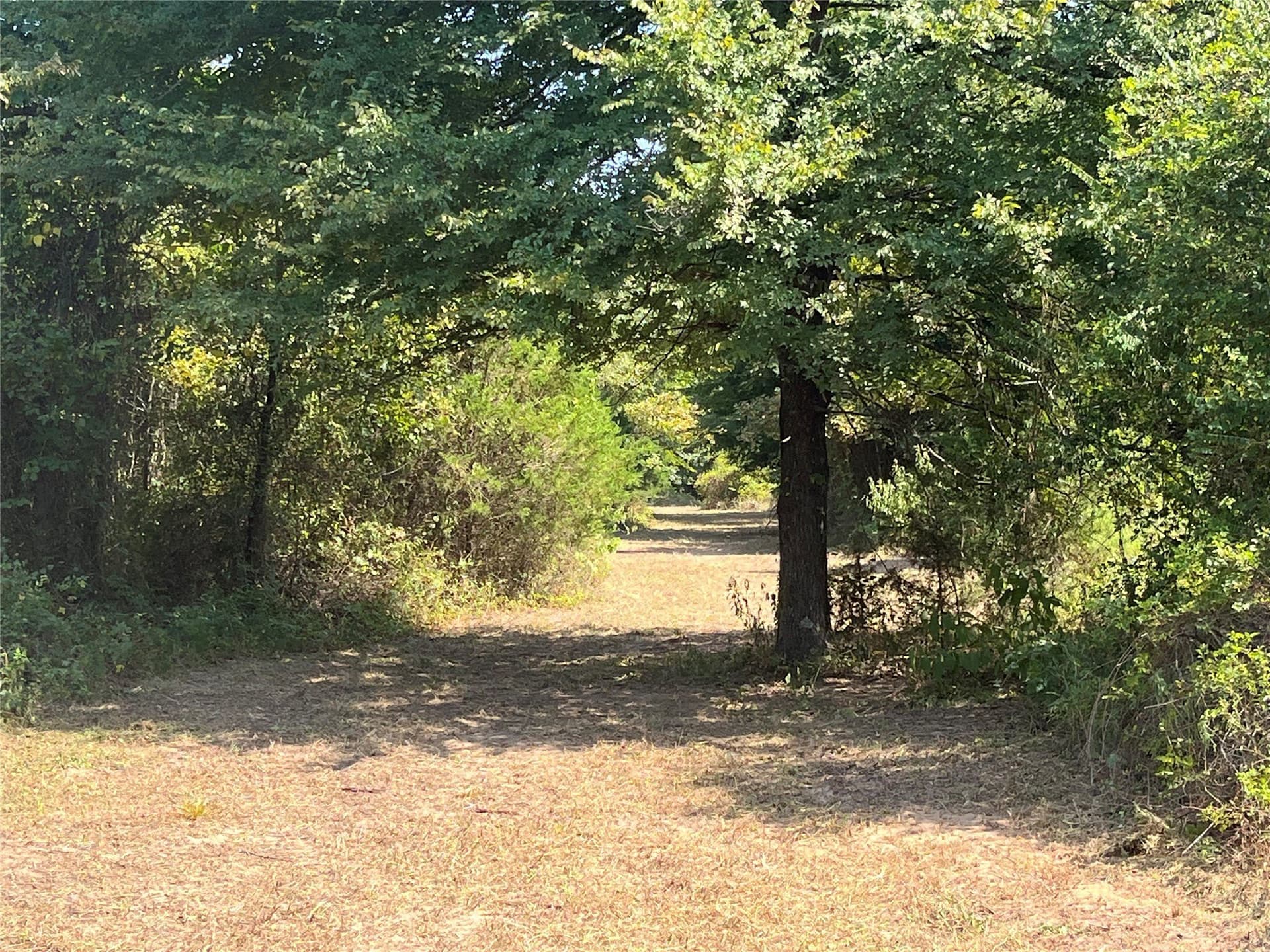 43.65 acres in Red River (TX) County - photo 10