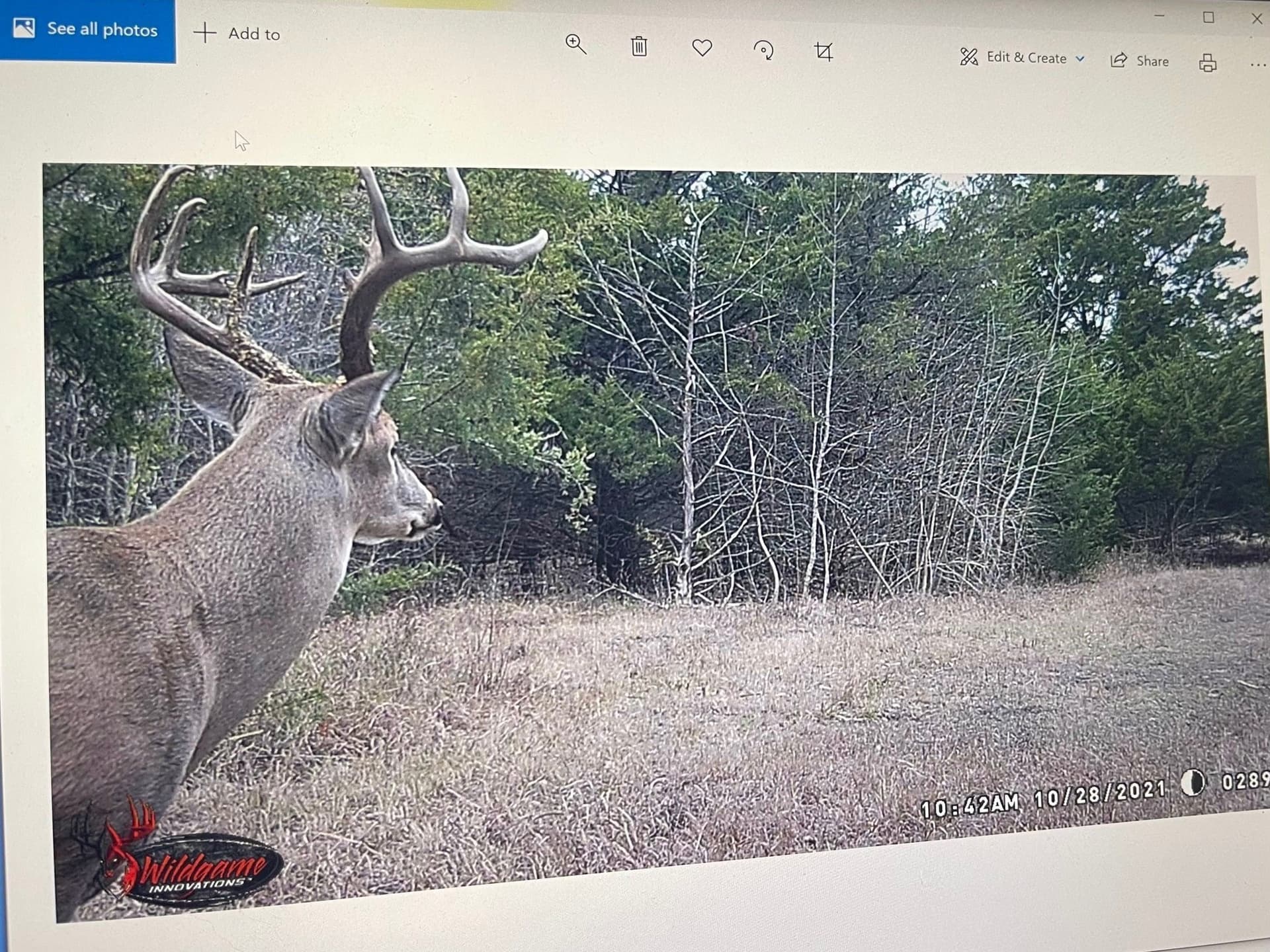 43.65 acres in Red River (TX) County - photo 12