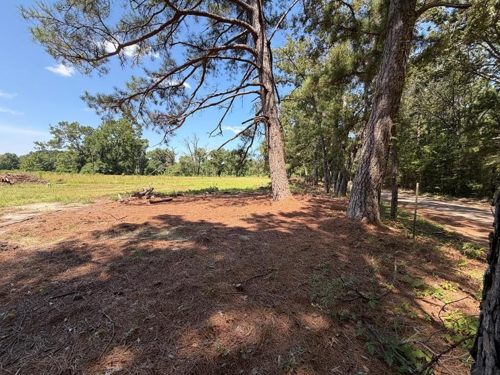 27 acres in ANDERSON County gallery image 3