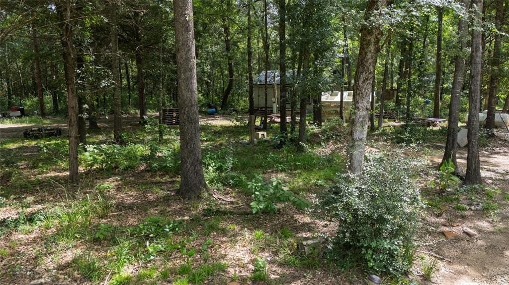 17.64 acres in Anderson County gallery image 4