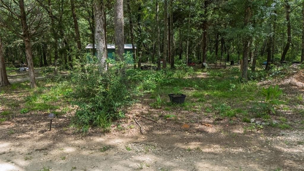 17.64 acres in Anderson County gallery image 3