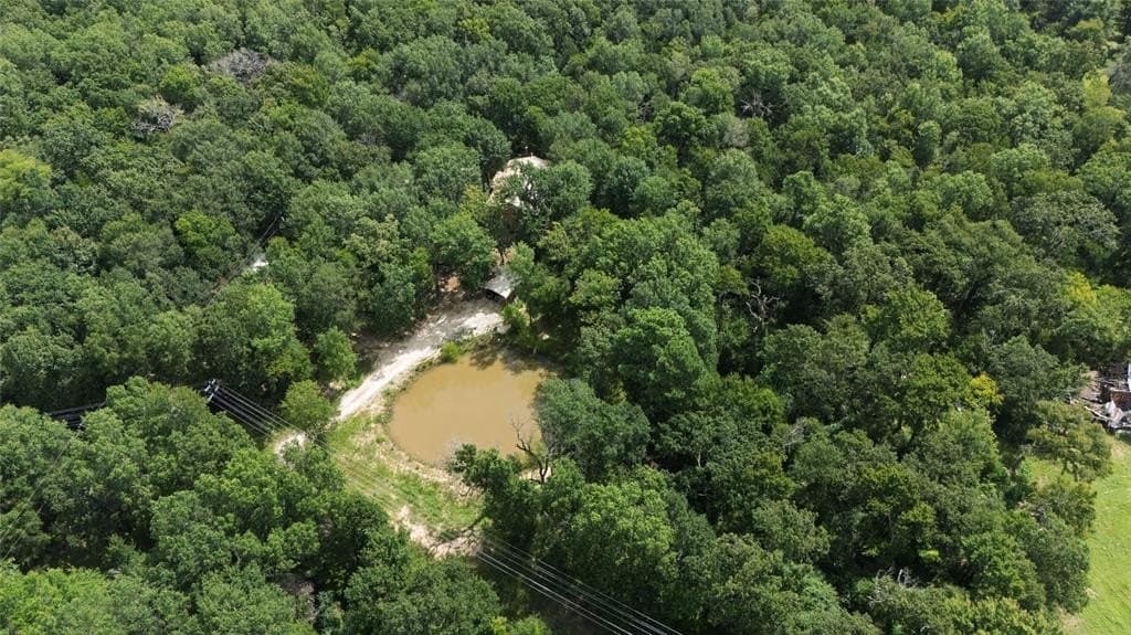 17.64 acres in Anderson County gallery image 2