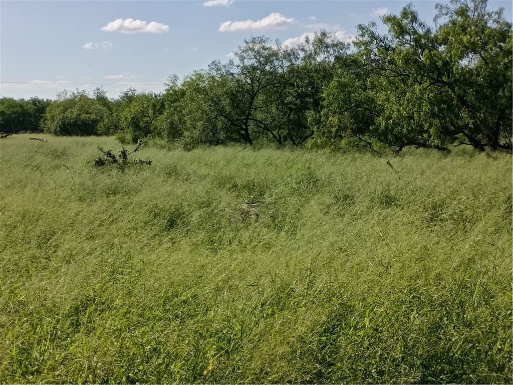 3.88 acres in Jim Wells County - photo 6