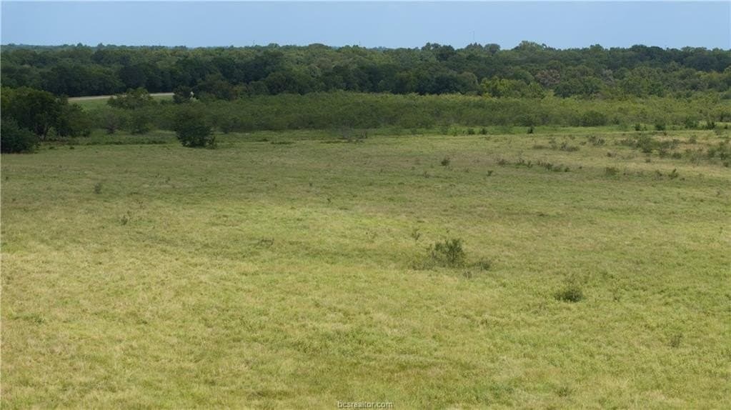 226 acres in Limestone County featured view