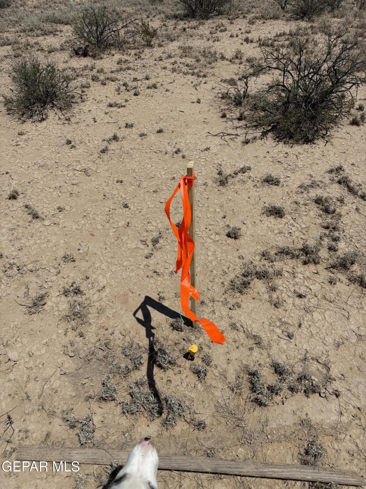 20 acres in Hudspeth County - photo 13