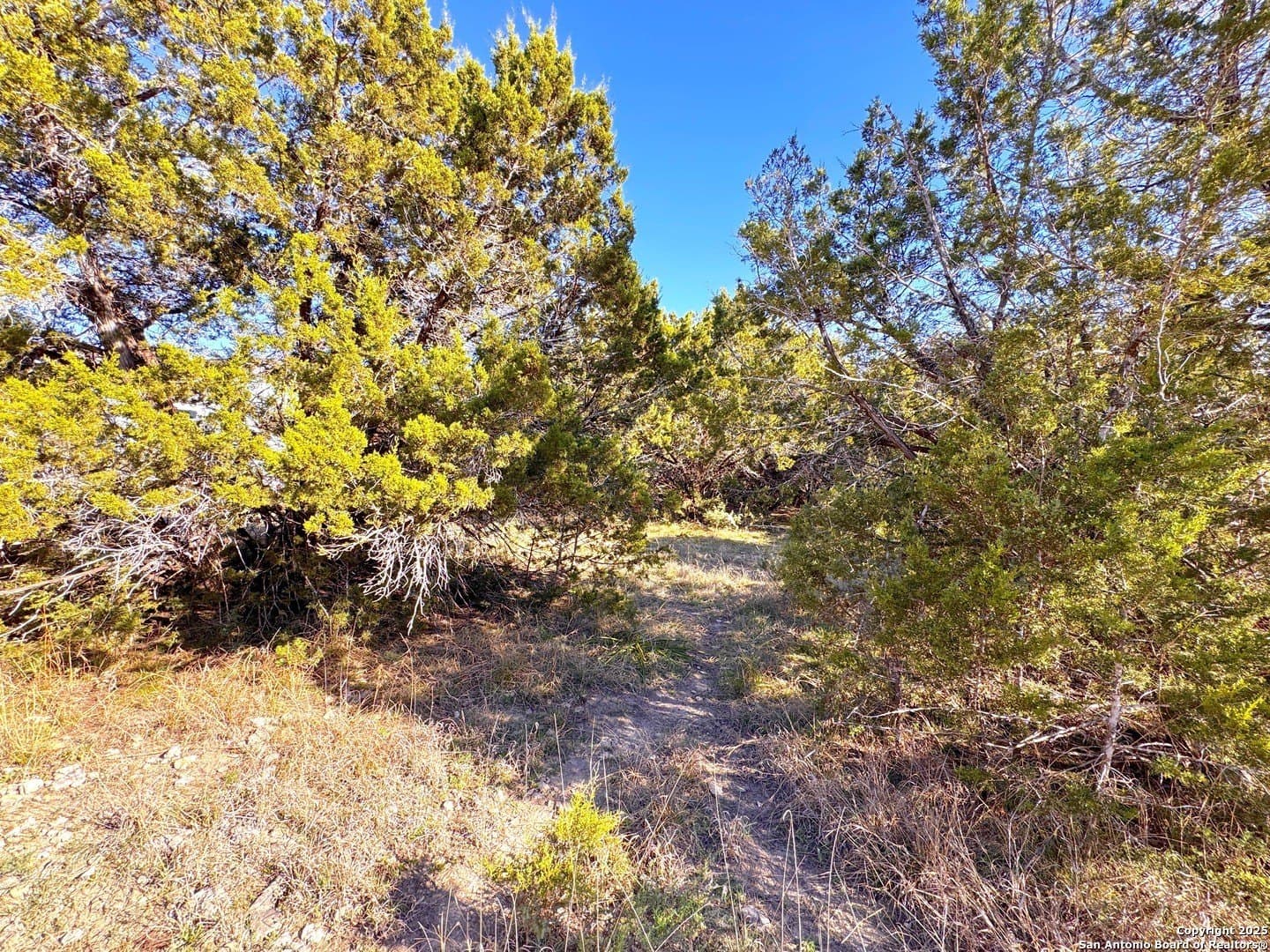 0.23 acres in Comal County - photo 8