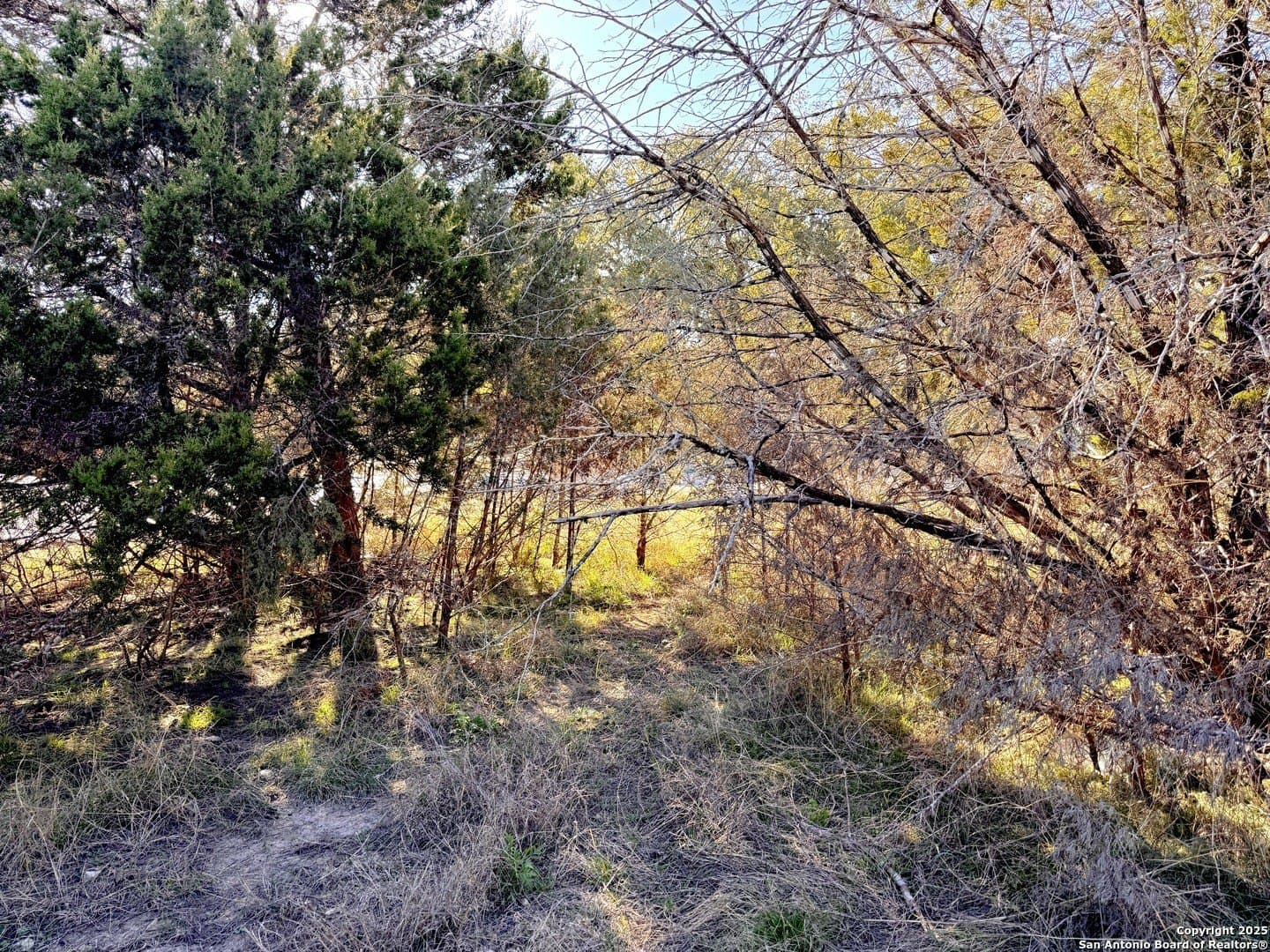 0.23 acres in Comal County - photo 7