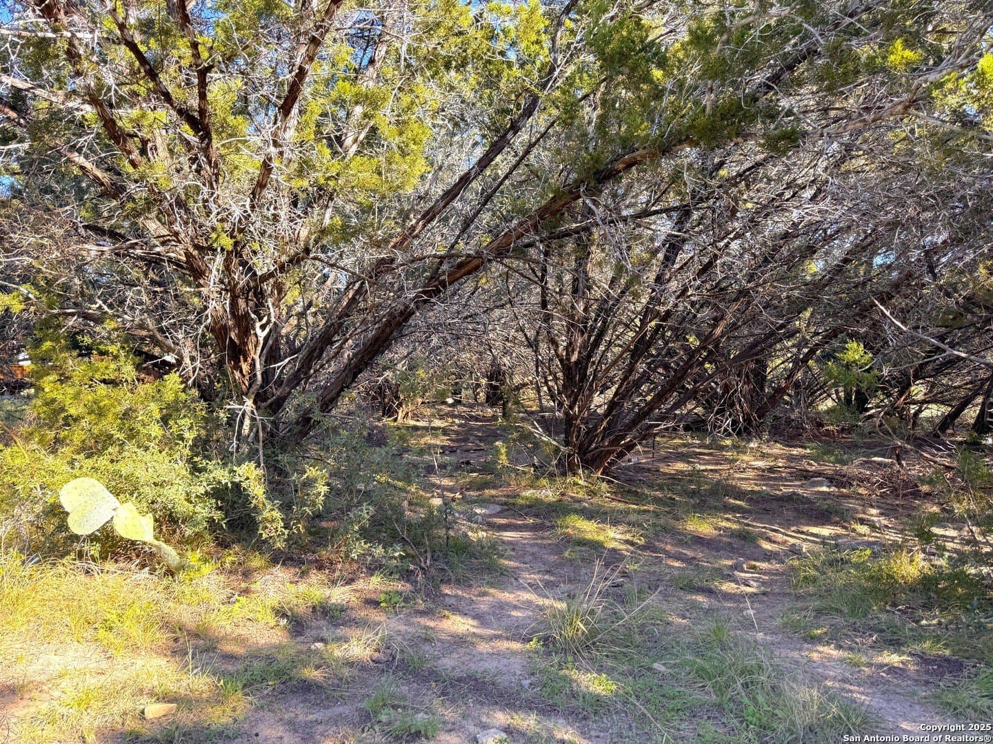 0.23 acres in Comal County - photo 6
