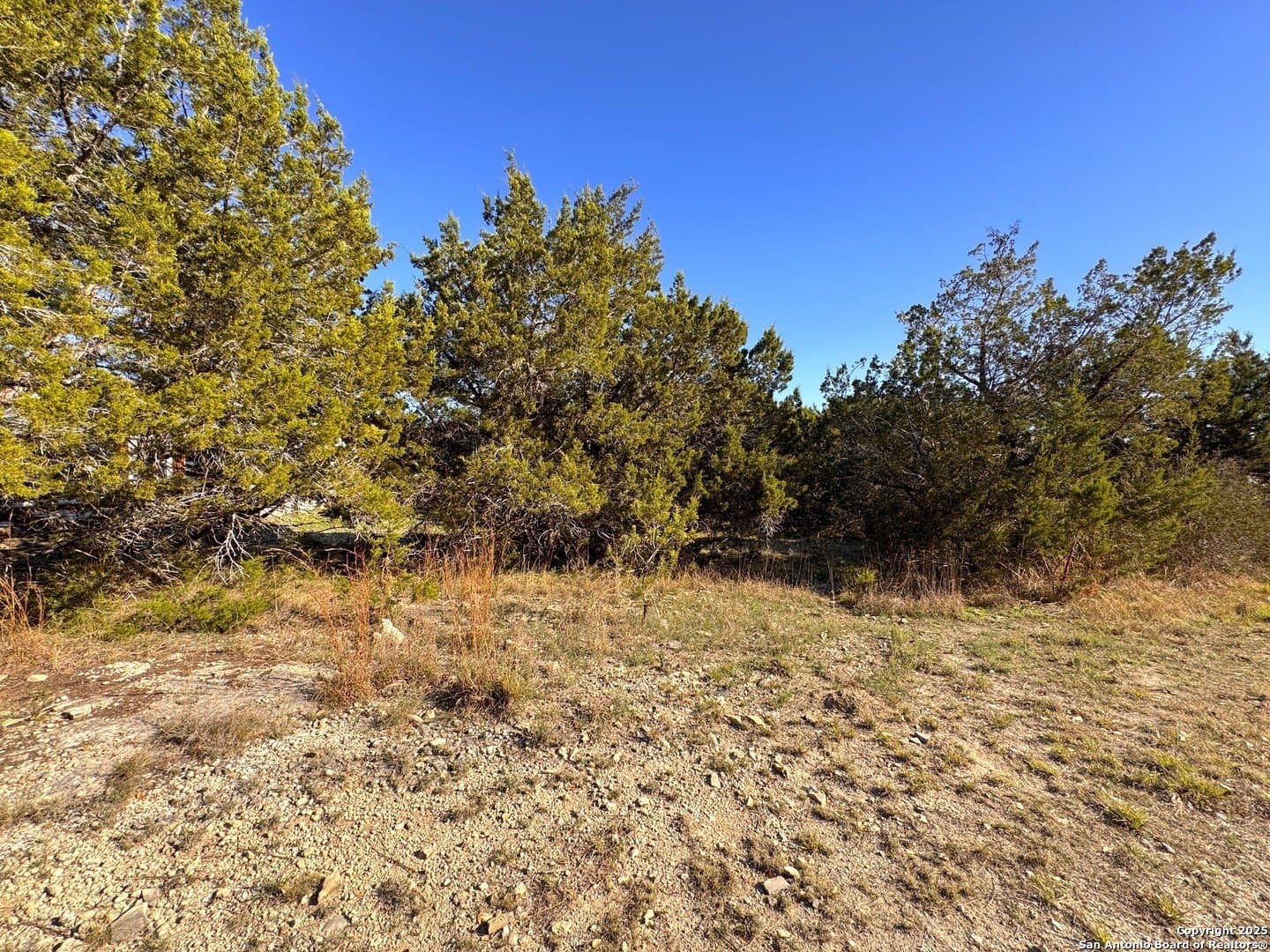 0.23 acres in Comal County gallery image 4