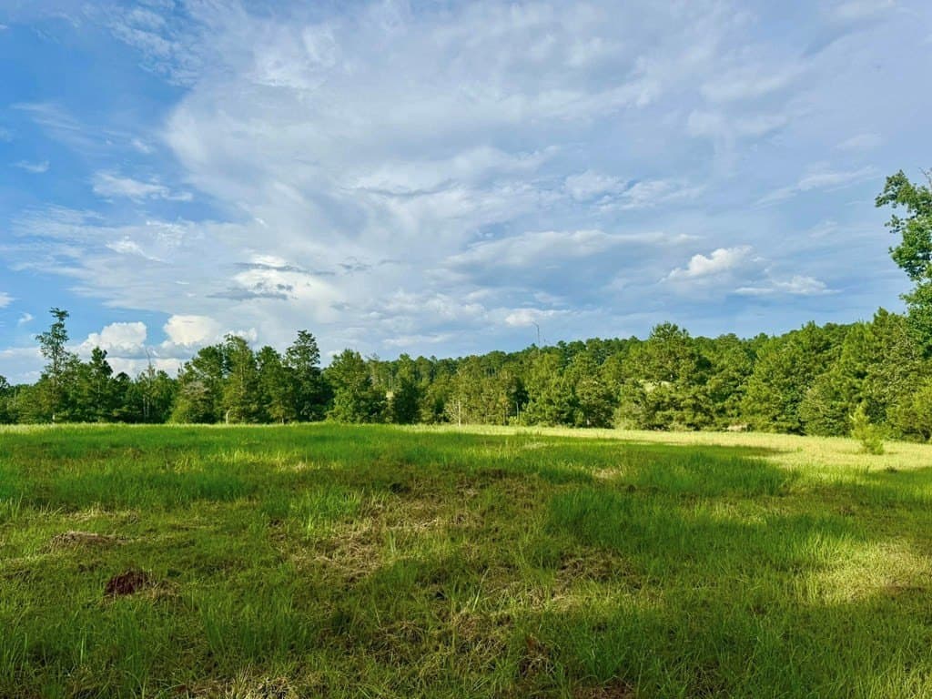 3.44 acres in Texas County gallery image 3