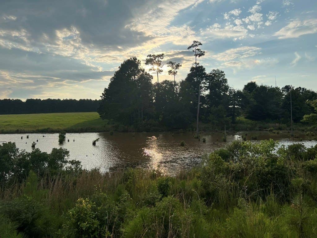 3.44 acres in Texas County featured view