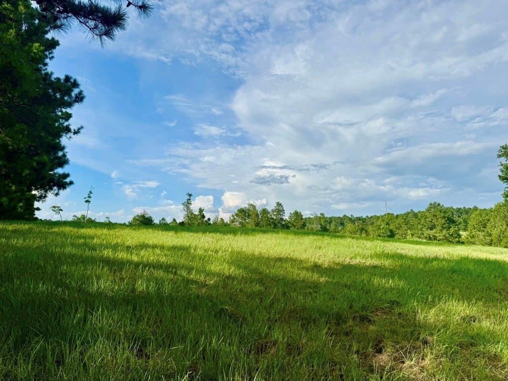 3.44 acres in Texas County gallery image 4
