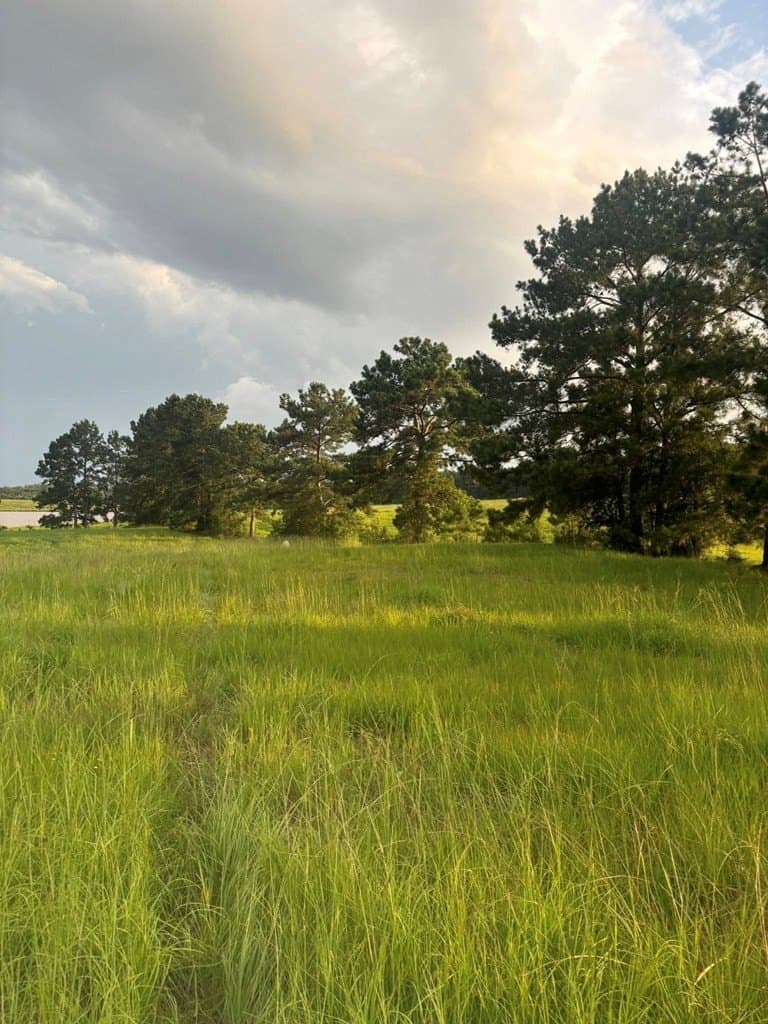 3.44 acres in Texas County - photo 6
