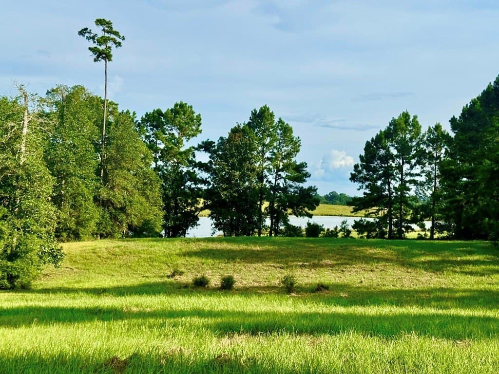 3.44 acres in Texas County gallery image 2