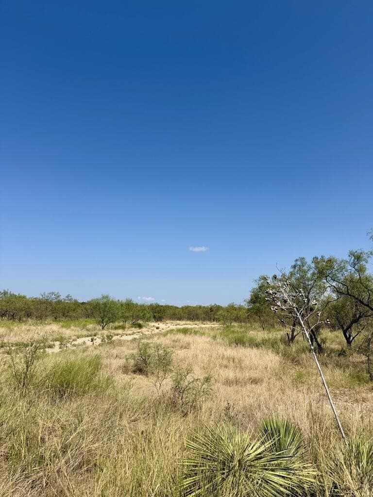 64.59 acres in Menard County - photo 15