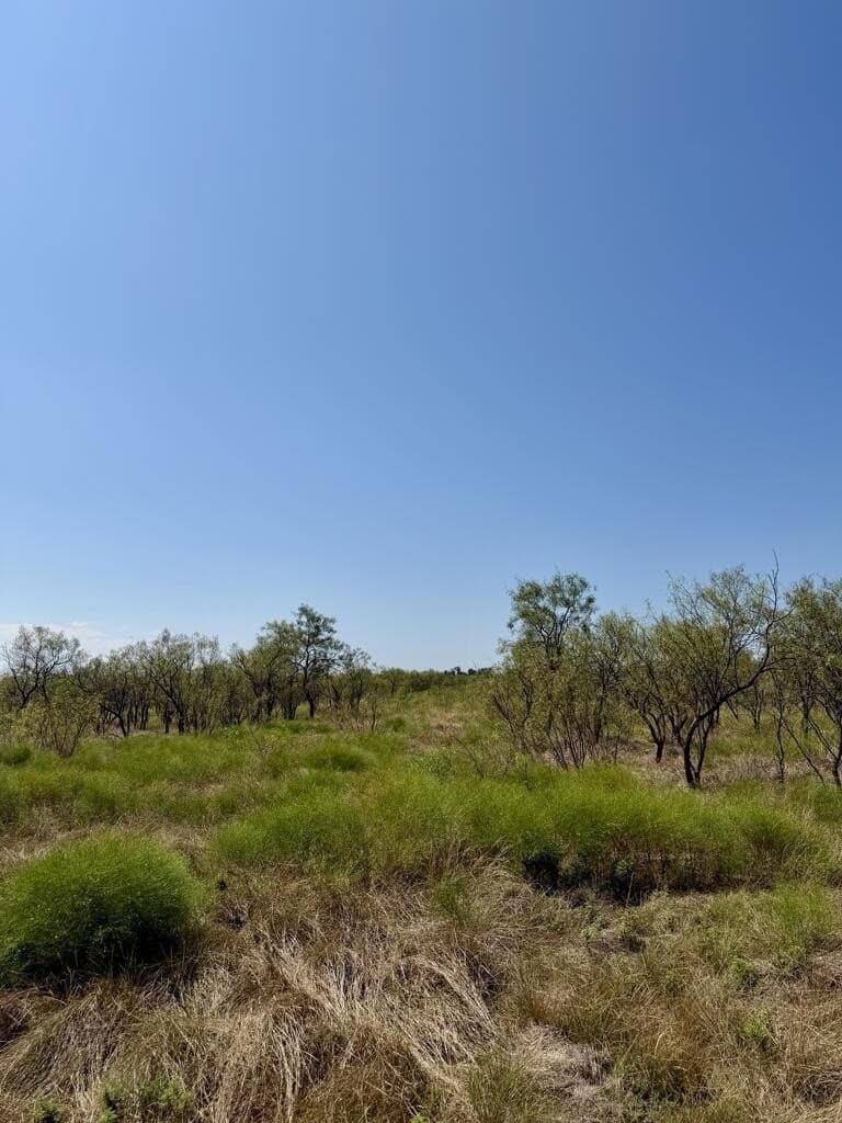 64.59 acres in Menard County - photo 7