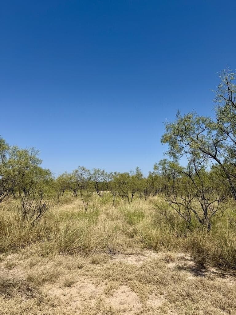 64.59 acres in Menard County - photo 13