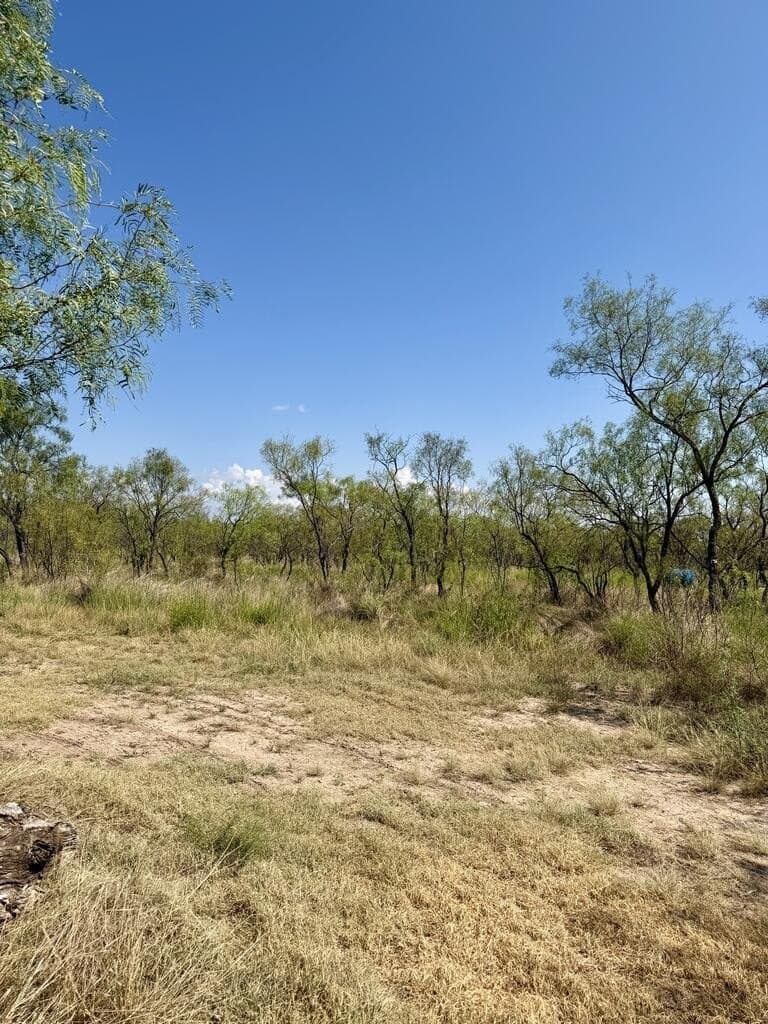 64.59 acres in Menard County - photo 19