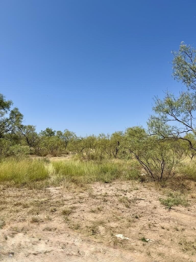 64.59 acres in Menard County - photo 20