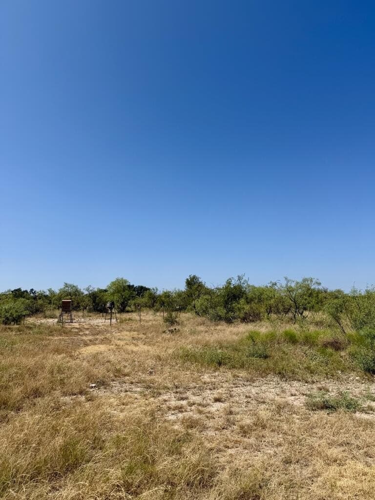 64.59 acres in Menard County - photo 3