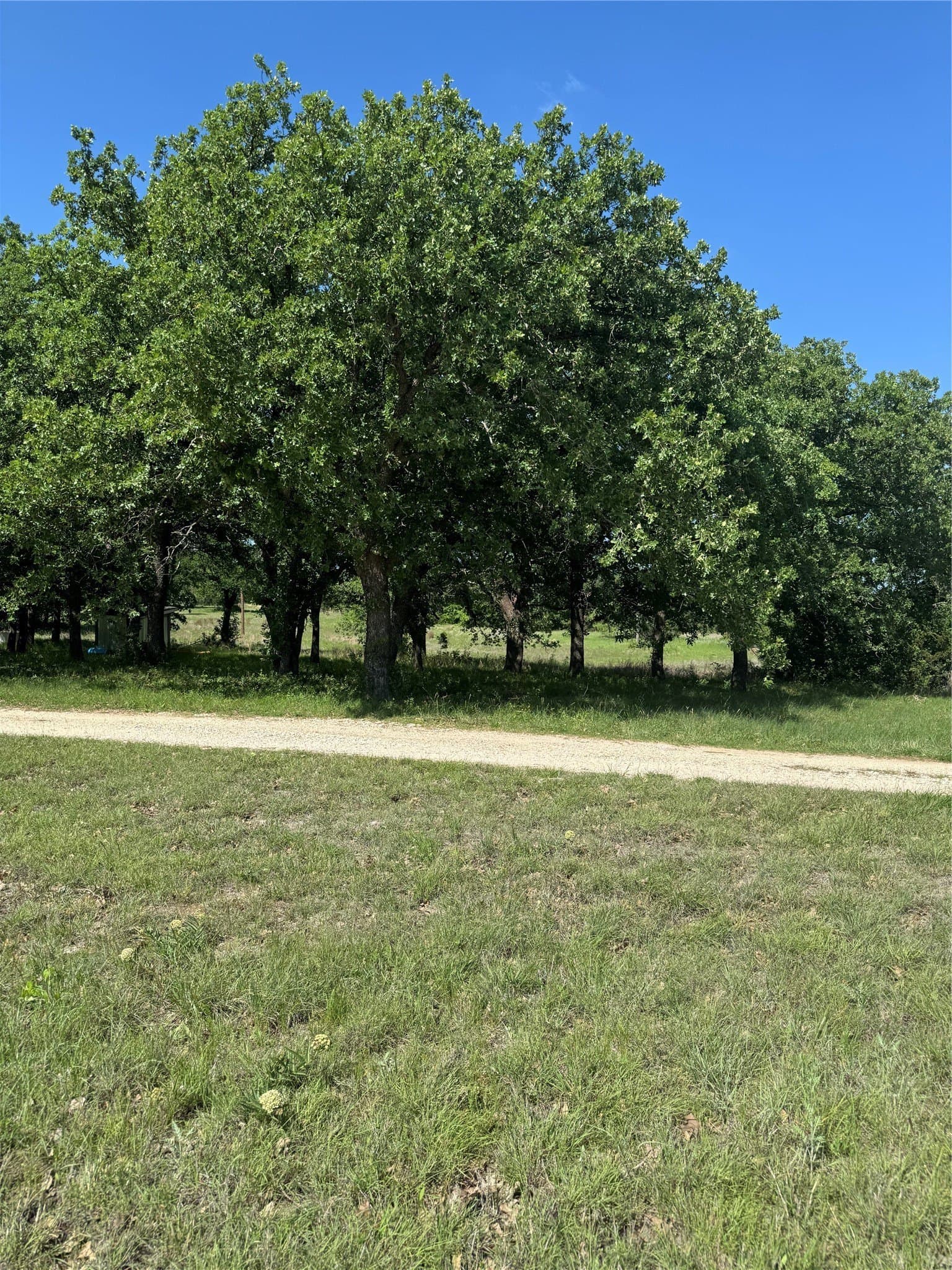 64.74 acres in Erath County - photo 17