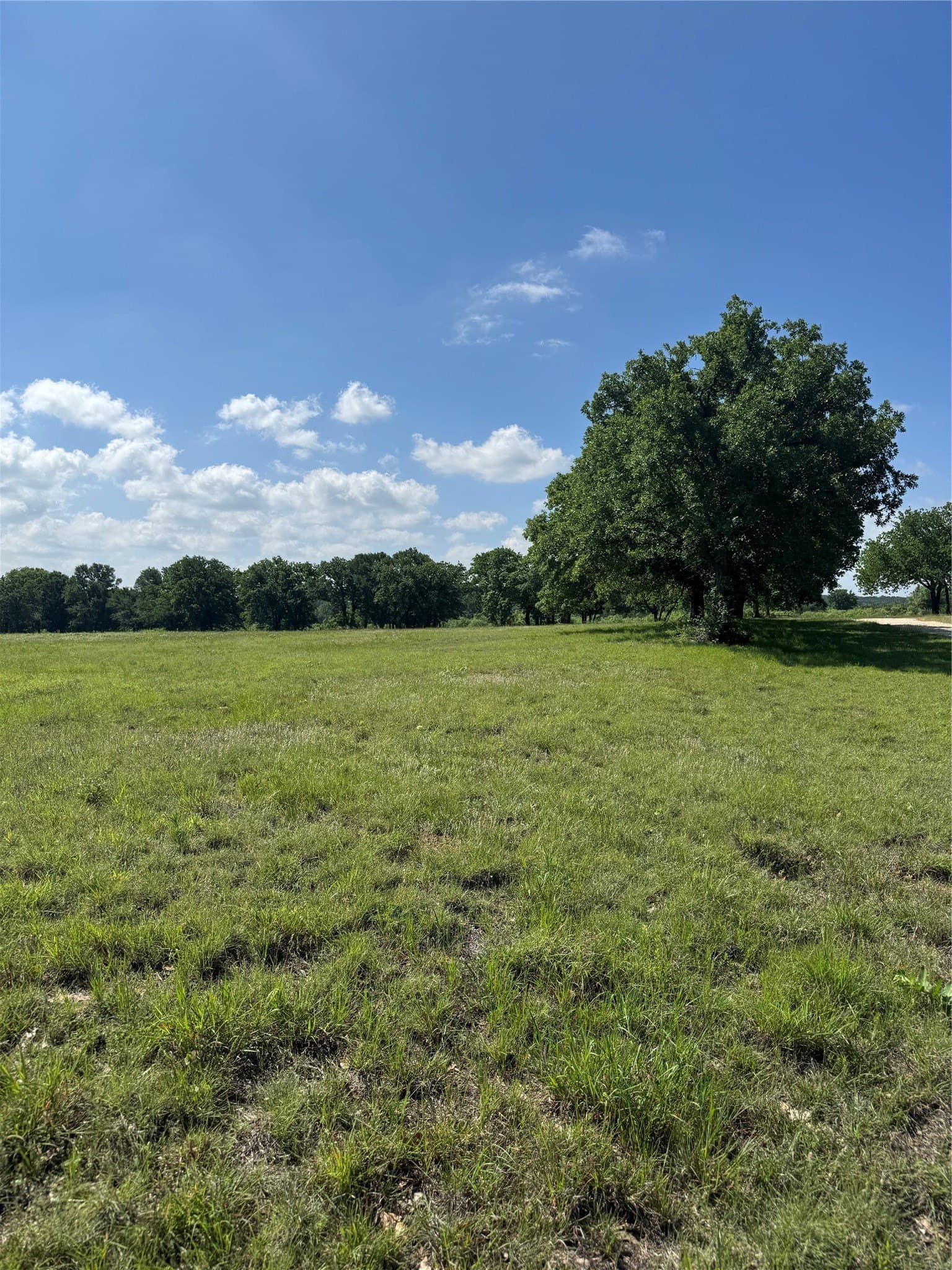 64.74 acres in Erath County - photo 15