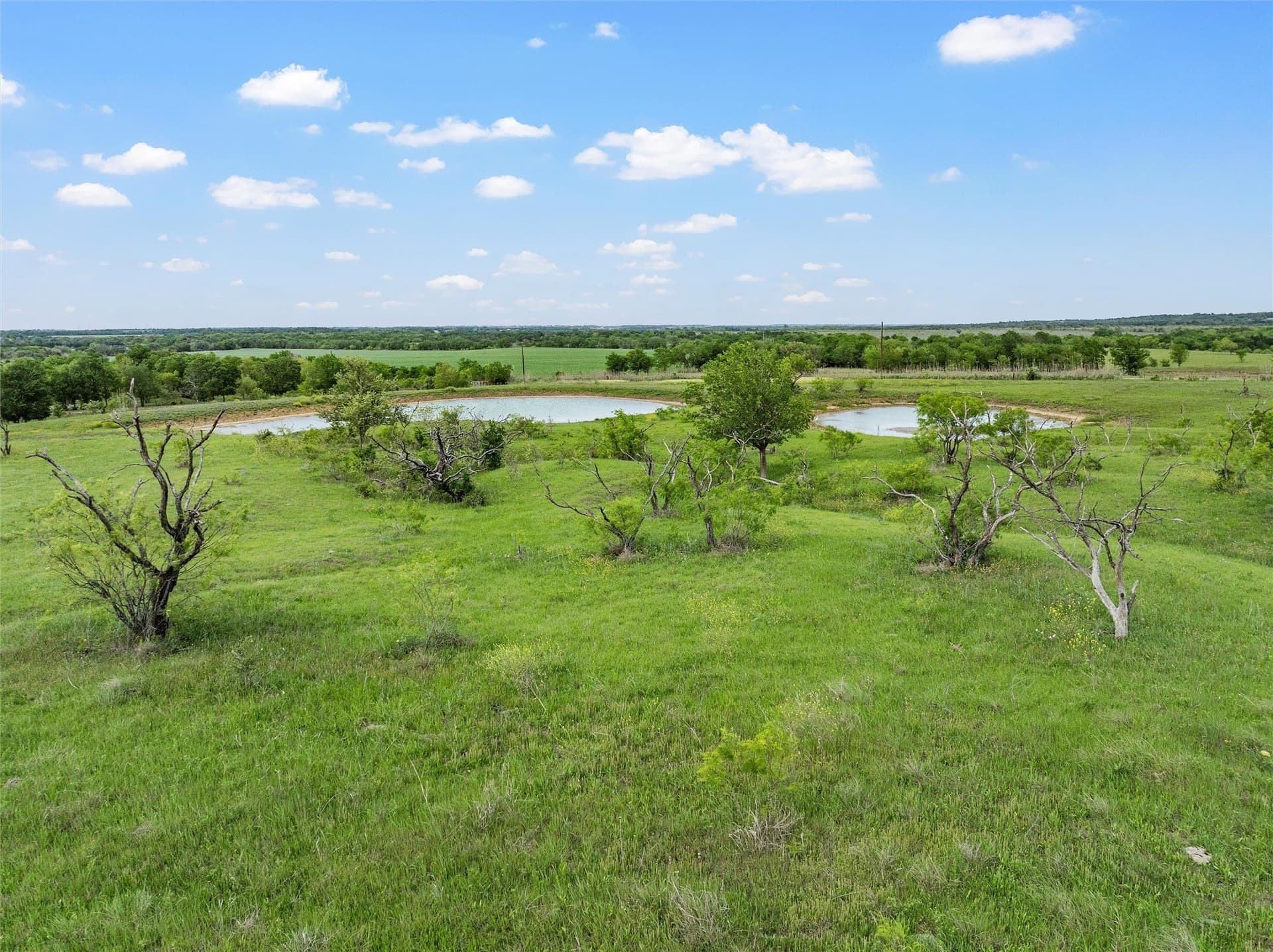 50.22 acres in Falls County - photo 16