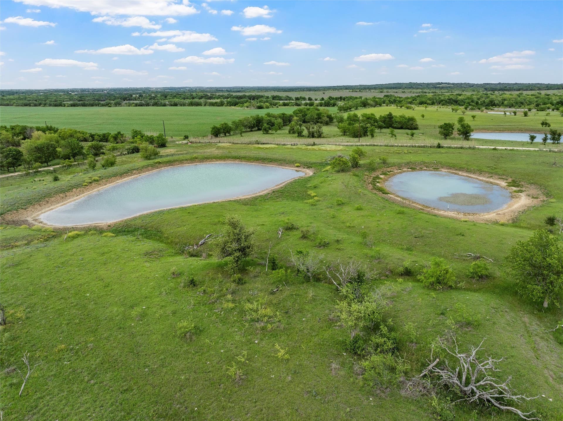 50.22 acres in Falls County - photo 12